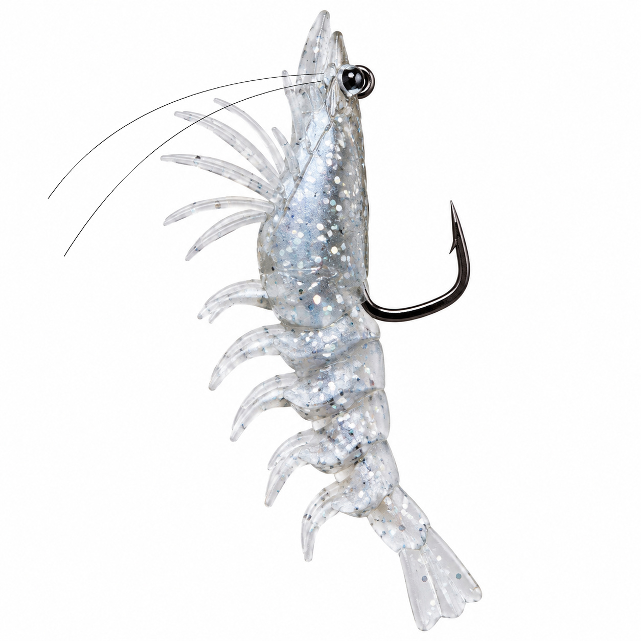 4.7" Stellar Live Shrimp